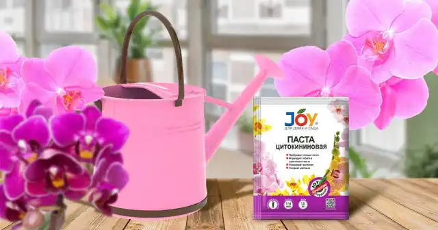 Во время перерывов между цветениями у орхидей можно активировать рост новых цветоносов или деток для увеличения своей комнатной оранжереи. Для этого используется цитокининовая паста JOY – очень эффективный стимулятор