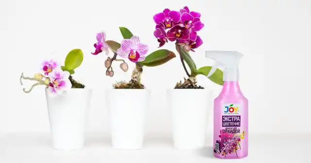 «Удобрение для орхидей» JOY