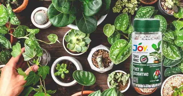 Минеральное удобрение JOY ТРИО МИКС «Рост и развитие», 100 г выпускается в гранулированной форме, которая позволяет существенно сократить общее количество подкормок без ущерба для питания растений