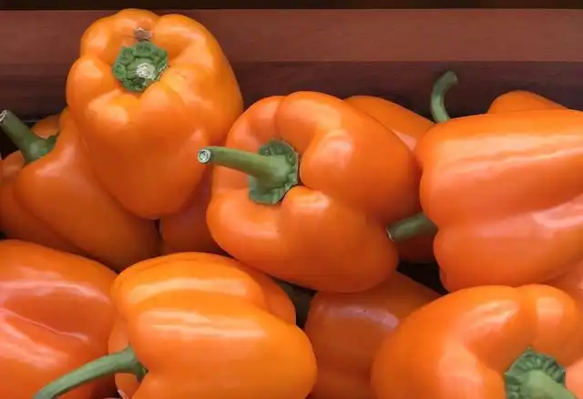 Перец «Янтарный бык»