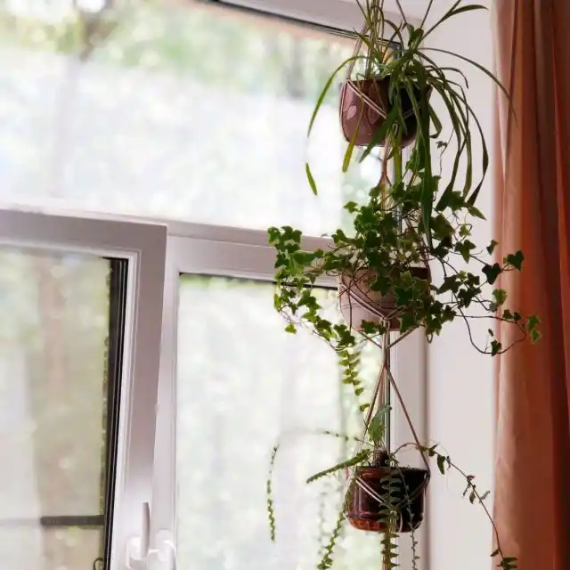 На уже подвешенное к потолку кашпо можно прикрепить крючок с цепочкой и на нее подвесить следующее кашпо