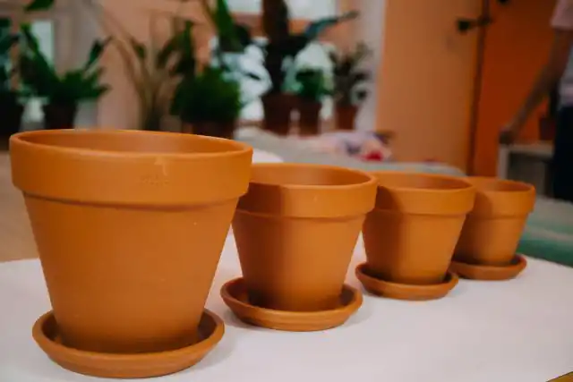 Казалось бы, ну что плохого в большом горшке? Чем больше, тем свободнее корням. Но не тут-то было. Мало того, что большинство растений откажутся расти и цвести до тех пор, пока не освоят все земляное пространство, так еще и погибнуть могут