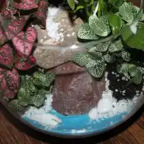 Увлекательный процесс создания завершен. Флорариум отлично вписался в интерьер, расположившись на стеллажной полочке у стены