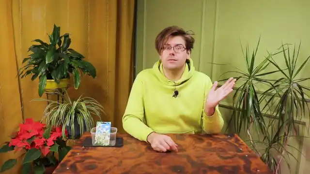 Як вирощувати пасифлору в