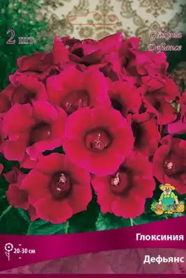 Глоксиния «Дефьянс»