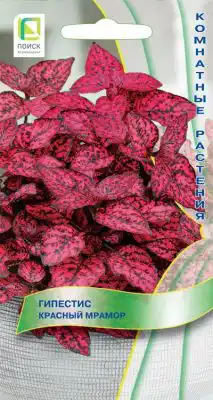 Гипестис «Красный мрамор»