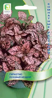 Гипестис «Розовый мрамор»