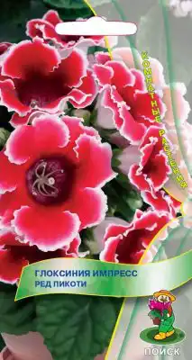 Глоксиния «Импресс Ред Пикоти»