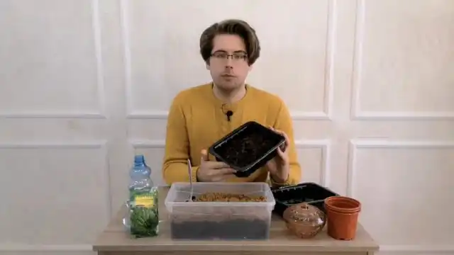 Готовим почву для посадки бананов