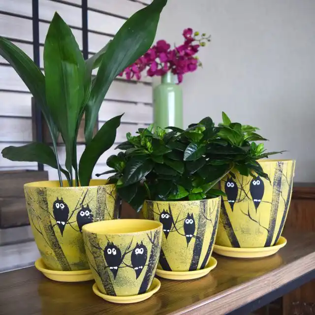 Горшки разных размеров в одном стиле