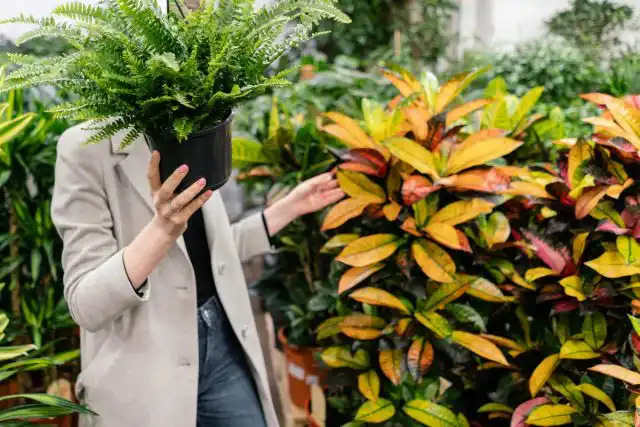 Без детального осмотра покупку совершать не стоит