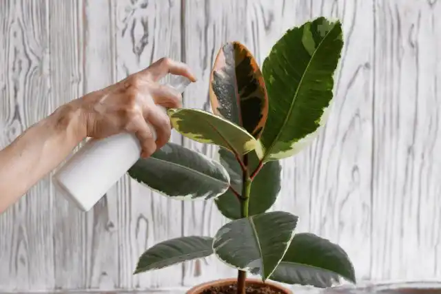 Лучше попробовать альтернативные составы на одном листочке