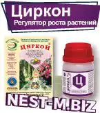 Циркон