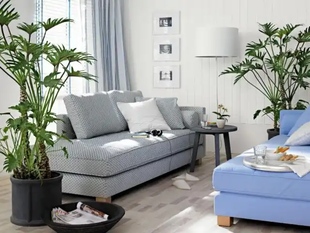 Пальмы в дизайне помещений в крупных контейнерах