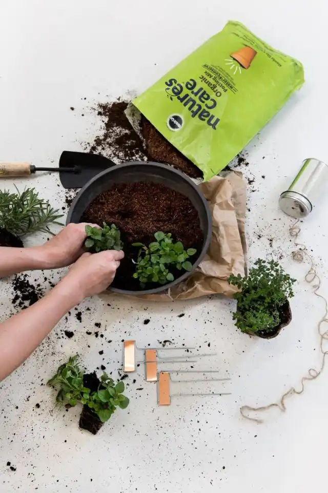 Готовый субстрат для комнатных растений