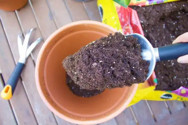 Готовая почва для комнатных растений в пакете