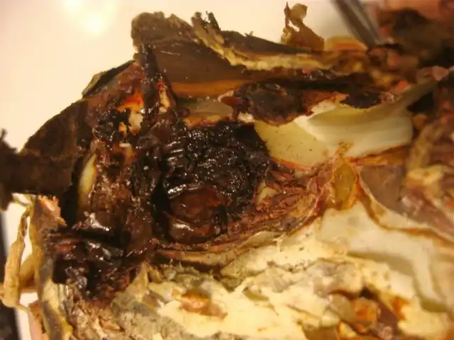 Признаки повреждения луковицы корневым клещом