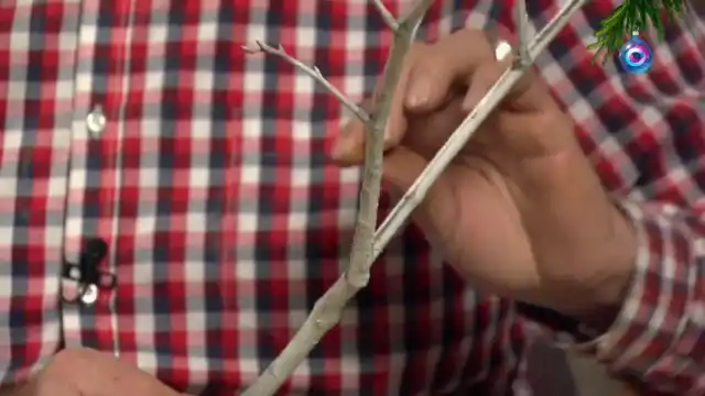 Украшение веток подручным материалом