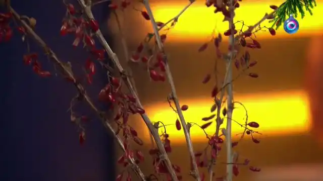 Композиция из барбарисов с плодами