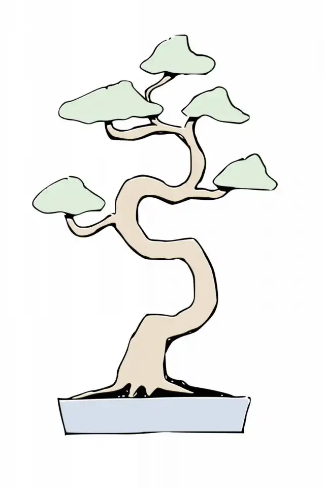 Стиль бонсай Банкан (Bankan)