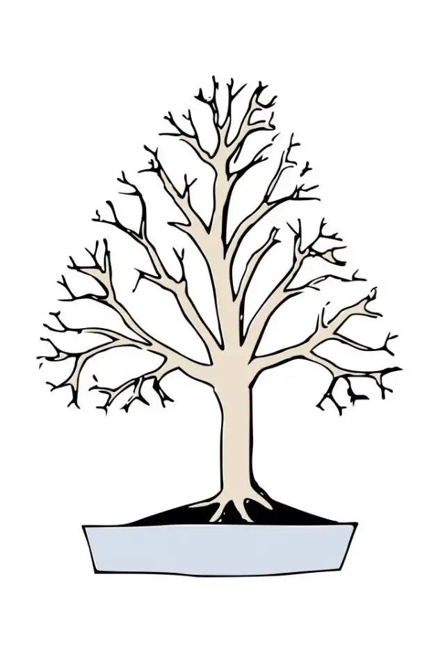 Стиль бонсай Хокидати (Hokidachi)