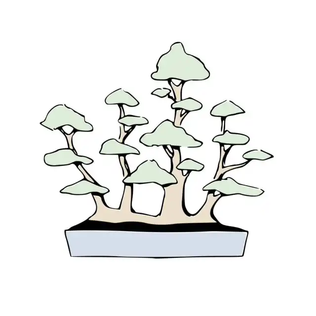 Стиль бонсай Икадабуки (Ikadabuki)