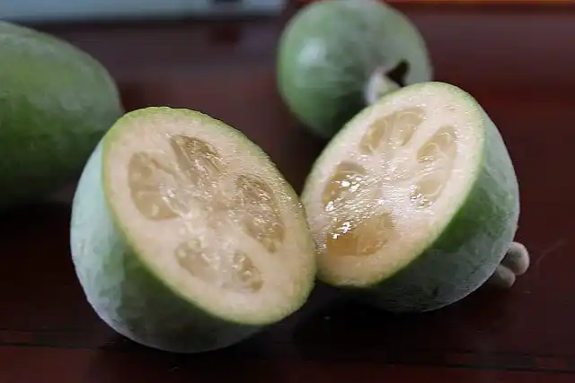 Фейхоа (Feijoa)