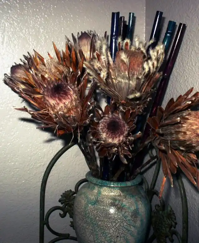 Высушенные цветы