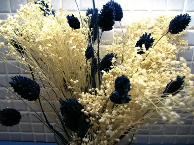 Высушенные цветы