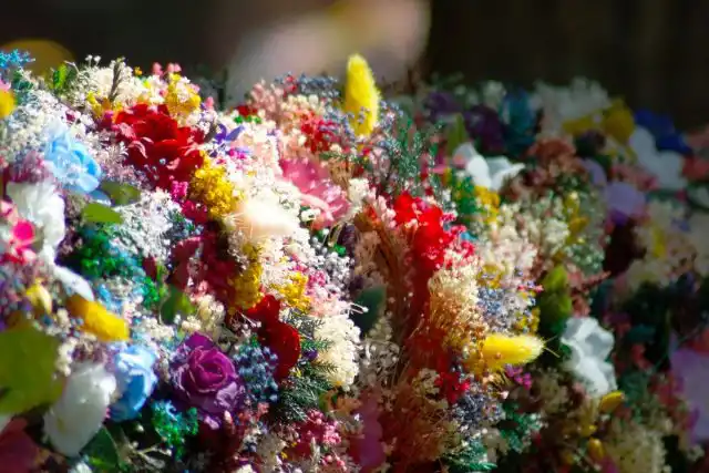 Высушенные цветы