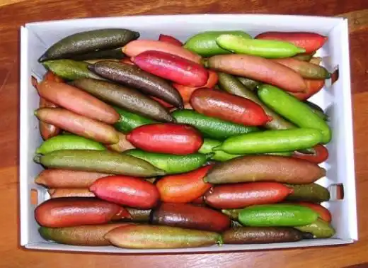 Австралийские пальчиковые лаймы (Finger Lime)