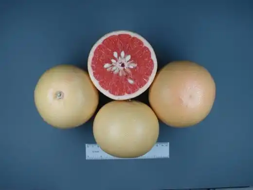 Грейпфрут Hudson (Hudson Grapefruit)