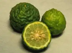 Кафир лайм (Kaffir lime)
