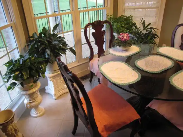 Растения в дизайне интерьера