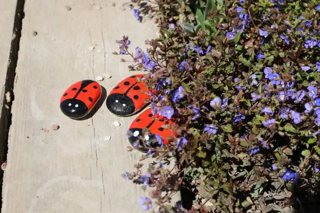 Декоративные камни «Божья коровка»