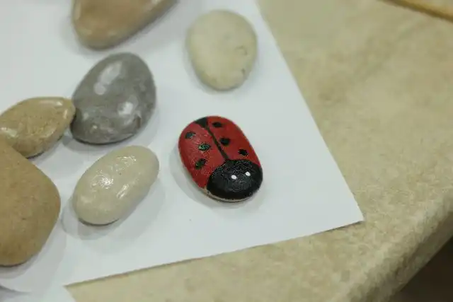 «Божья коровка» готова!