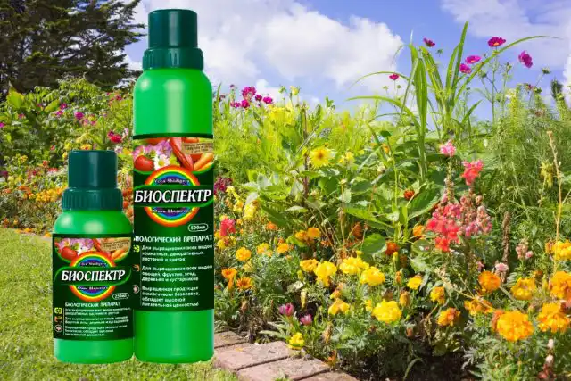 Абсолютно безопасный, эффективный для всех видов растений, биопрепарат "Биоспектр"