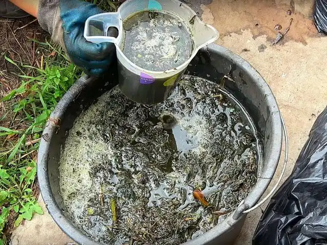 Один из способов доставить углекислый газ в теплицу — поставить между огурцами бочку с настоем крапивы или навоза