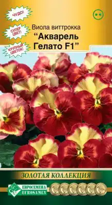 Виола Виттрока «Акварель Гелато» F1