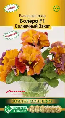 Виола Виттрока «Болеро Солнечный закат» F1