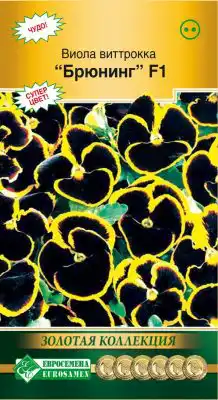 Виола Виттрока «Брюнинг» F1