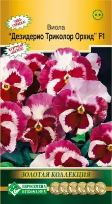 Виола Виттрока «Дезидерио Орхид Триколор» F1