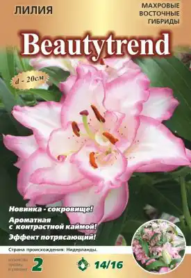 Лилия «Бьютитренд»