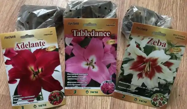 Луковицы лилий в упаковке