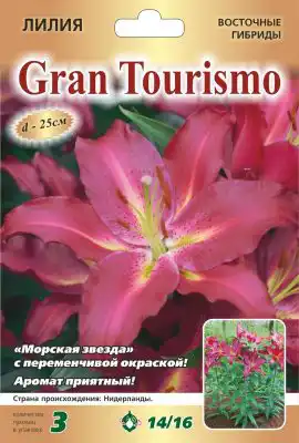 Лилия «Гран Туризмо»