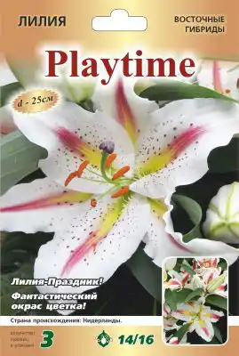 Лилия «Плэйтайм»