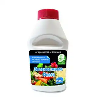 С рядом вредителей розы можно справиться и с помощью зелёного мыла «Онега».