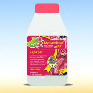 После летней обрезки, через 2-3 дня, когда срезы хорошо подсохнут, кусты обильно поливают и обязательно подкармливают комплексным жидким удобрением «Мультифлор Аква» для роз.