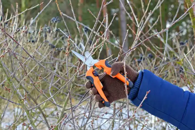 Що не забути зробити у лютому