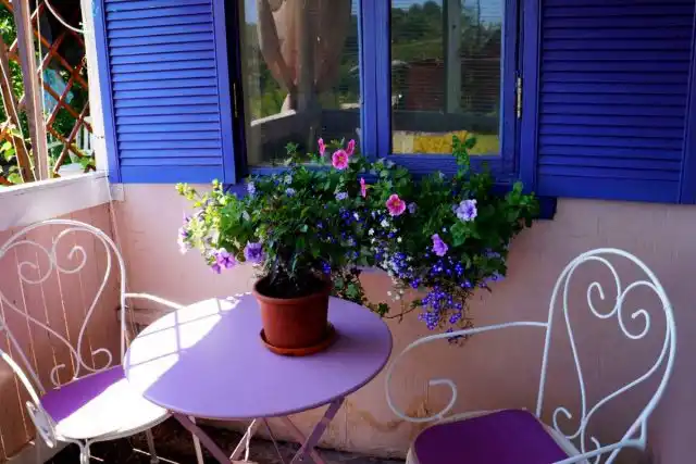 С поздней весны и до поздней осени основу декоративности ансамбля составляют беспрерывно цветущие петунии